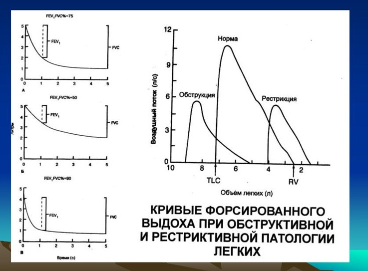 исследование функции внешнего дыхания